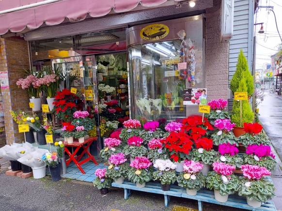 「鷺宮園」　（東京都中野区）の花屋店舗写真1